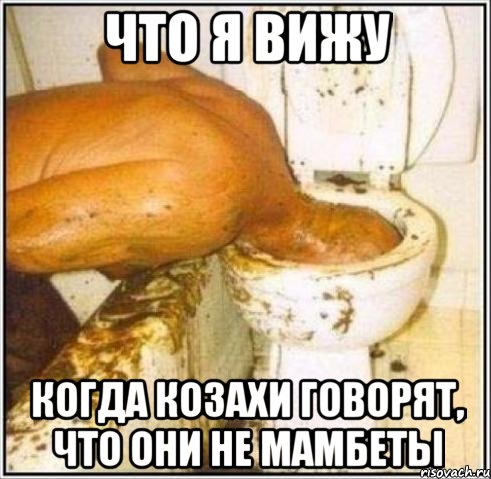 что я вижу когда козахи говорят, что они не мамбеты, Мем Дайвер