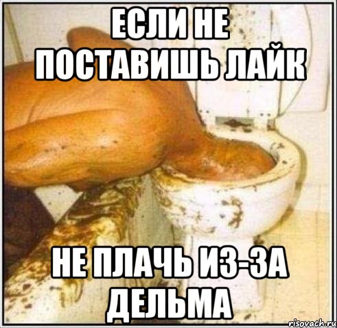 ЕСЛИ НЕ ПОСТАВИШЬ ЛАЙК НЕ ПЛАЧЬ ИЗ-ЗА ДЕЛЬМА, Мем Дайвер