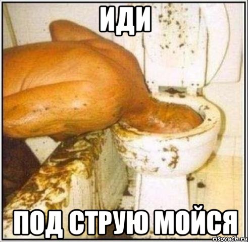 Иди под струю мойся, Мем Дайвер