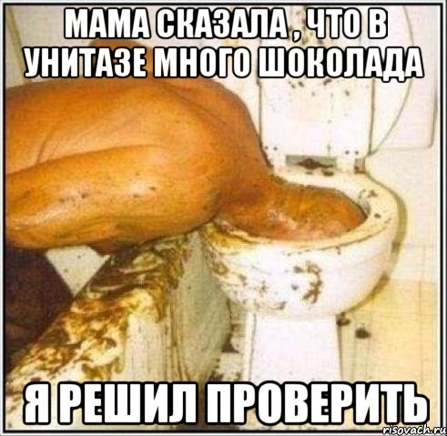 МАМА СКАЗАЛА , ЧТО В УНИТАЗЕ МНОГО ШОКОЛАДА Я РЕШИЛ ПРОВЕРИТЬ, Мем Дайвер