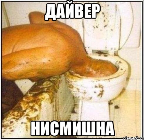 Дайвер нисмишна, Мем Дайвер