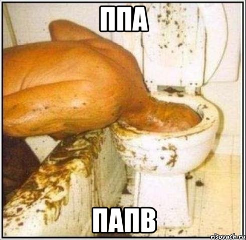 ппа папв, Мем Дайвер