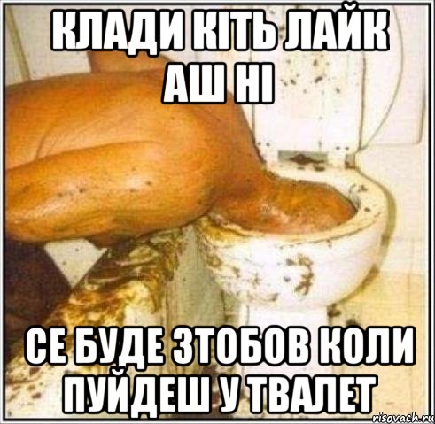 клади кіть лайк аш ні се буде зтобов коли пуйдеш у твалет, Мем Дайвер