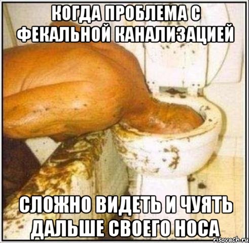 когда проблема с фекальной канализацией сложно видеть и чуять дальше своего носа, Мем Дайвер