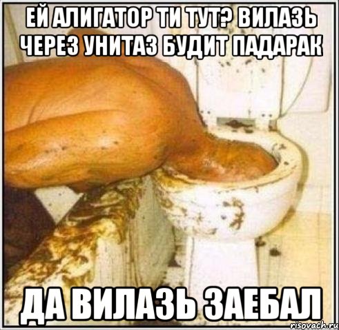 ЕЙ АЛИГАТОР ТИ ТУТ? ВИЛАЗЬ ЧЕРЕЗ УНИТАЗ БУДИТ ПАДАРАК ДА ВИЛАЗЬ заебал, Мем Дайвер