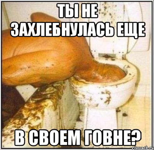 Ты не захлебнулась еще В своем говне?, Мем Дайвер