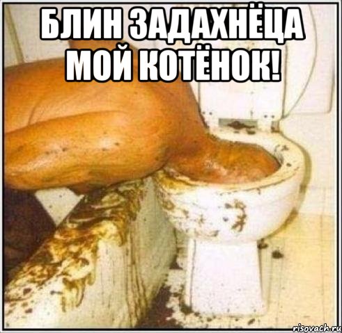 блин задахнёца мой котёнок! , Мем Дайвер