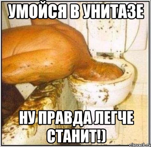 Умойся в унитазе ну правда легче станит!), Мем Дайвер