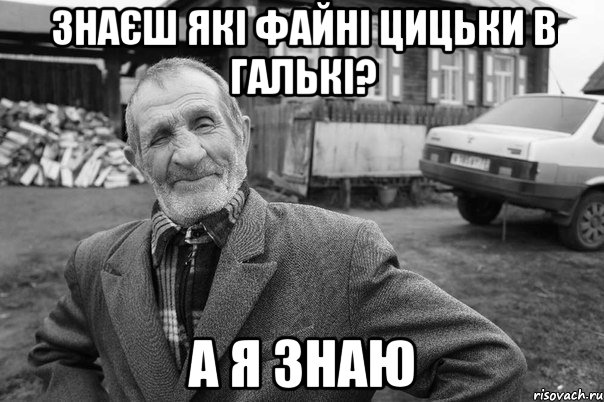 знаєш які файні цицьки в галькі? а я знаю