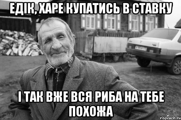 едік, харе купатись в ставку і так вже вся риба на тебе похожа