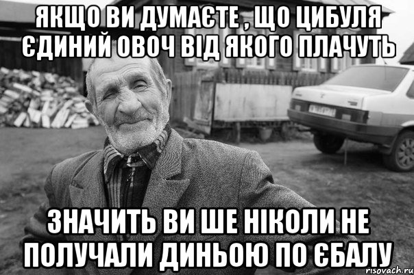 якщо ви думаєте , що цибуля єдиний овоч від якого плачуть значить ви ше ніколи не получали диньою по єбалу