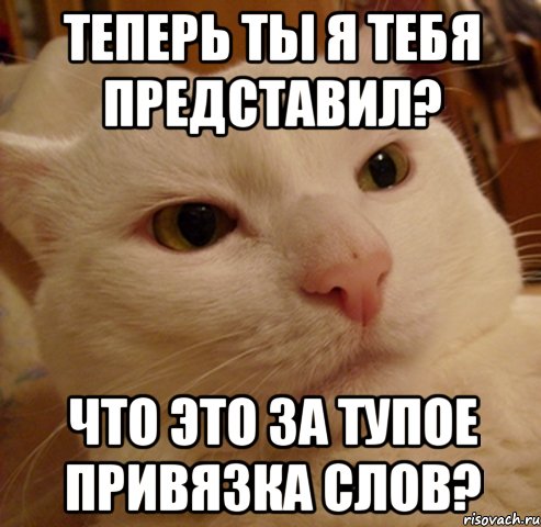 теперь ты я тебя представил? Что это за тупое привязка слов?, Мем Дерзкий котэ