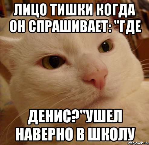 Лицо Тишки когда он спрашивает: "Где Денис?"Ушел наверно в школу, Мем Дерзкий котэ