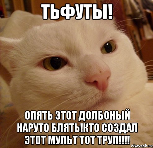 тьфуты! опять этот долбоный наруто БЛЯТЬ!кто создал этот мульт тот ТРУП!!!!, Мем Дерзкий котэ