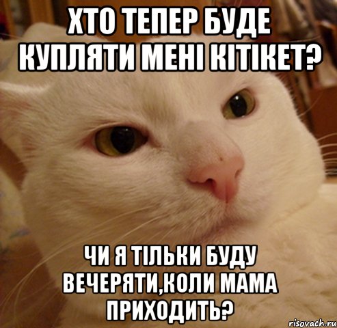 хто тепер буде купляти мені кітікет? чи я тільки буду вечеряти,коли мама приходить?, Мем Дерзкий котэ