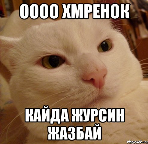 оооо хмренок кайда журсин жазбай, Мем Дерзкий котэ