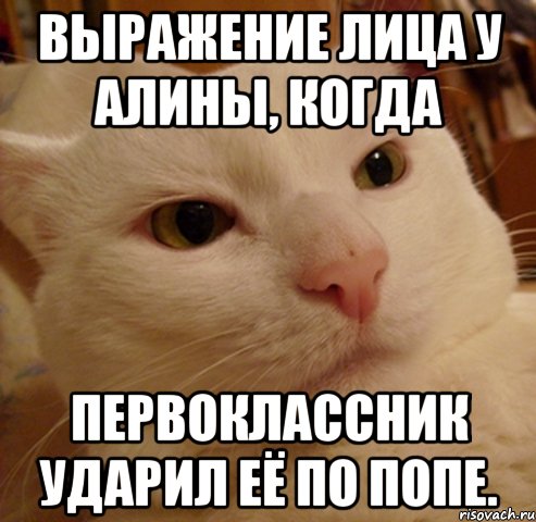 Выражение лица у Алины, когда первоклассник ударил её по попе., Мем Дерзкий котэ