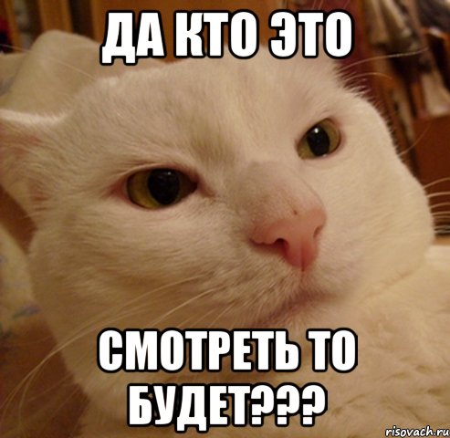 ДА КТО ЭТО СМОТРЕТЬ ТО БУДЕТ???, Мем Дерзкий котэ