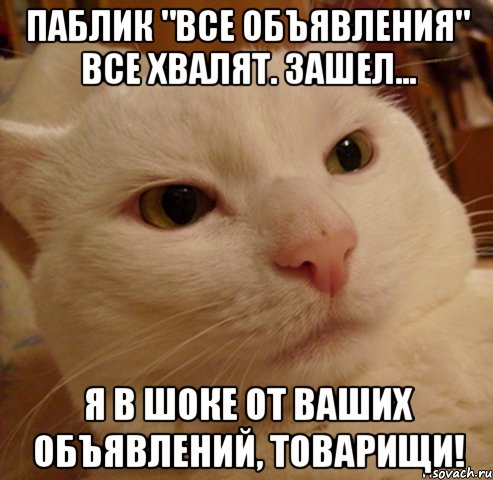 Паблик "Все объявления" все хвалят. Зашел... Я в шоке от ваших объявлений, товарищи!, Мем Дерзкий котэ