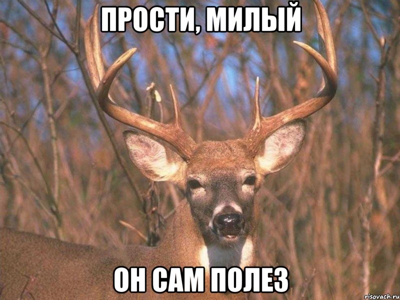 Прости, милый он сам полез