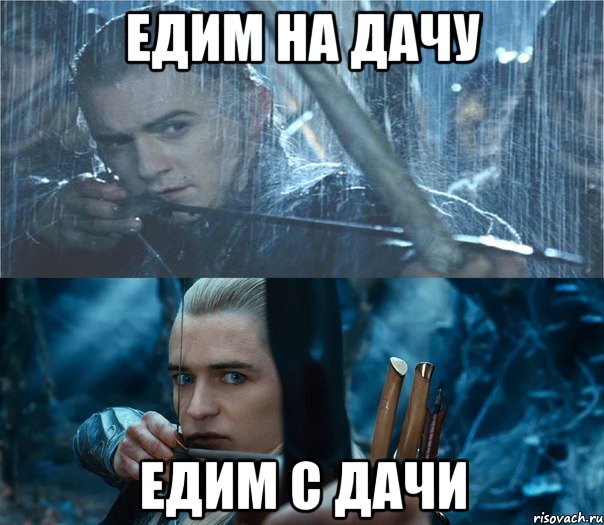 едим на дачу едим с дачи