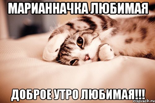 Марианначка Любимая Доброе утро Любимая!!!