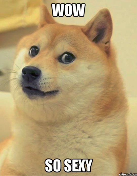 WOW SO SEXY, Мем doge woof