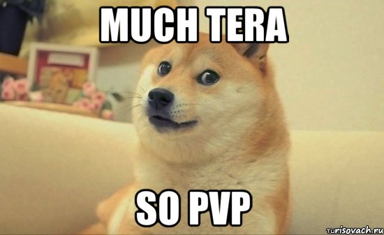 MUCH TERA SO PVP, Мем Доге