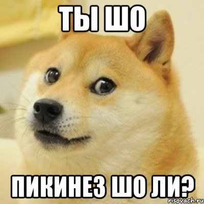 ты шо пикинез шо ли?, Мем doge woof