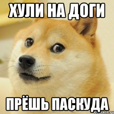 хули на доги прёшь паскуда, Мем doge woof