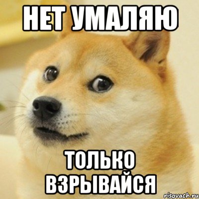 нет умаляю только взрывайся, Мем doge woof