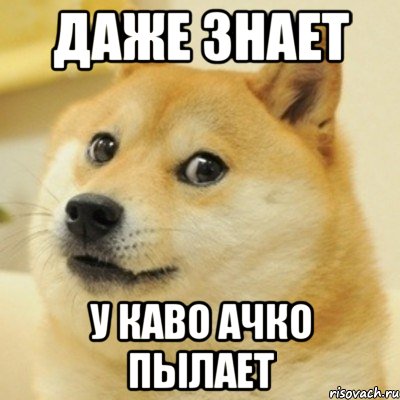 Даже знает у каво ачко пылает, Мем doge woof