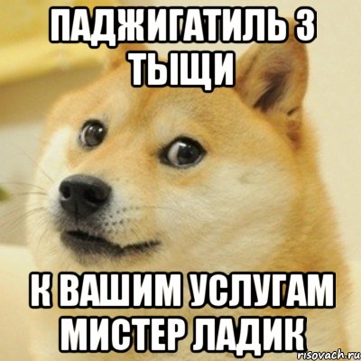 Паджигатиль 3 тыщи к вашим услугам мистер ладик, Мем doge woof