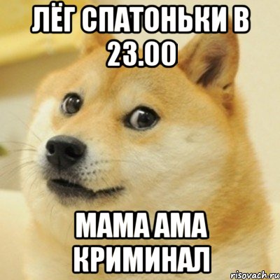 Лёг спатоньки в 23.00 мама ама криминал, Мем doge woof