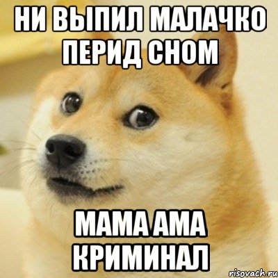 ни выпил малачко перид сном мама ама криминал, Мем doge woof