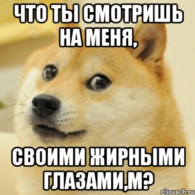 что ты смотришь на меня, своими жирными глазами,м?, Мем doge woof