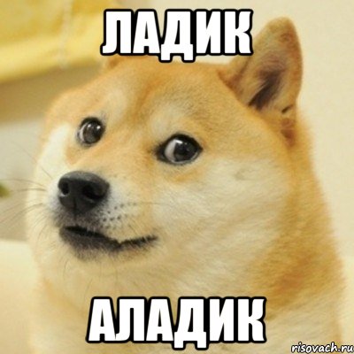 Ладик аладик, Мем doge woof