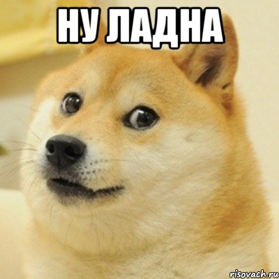 ну ладна , Мем doge woof