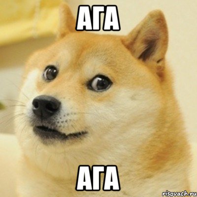 ага ага, Мем doge woof