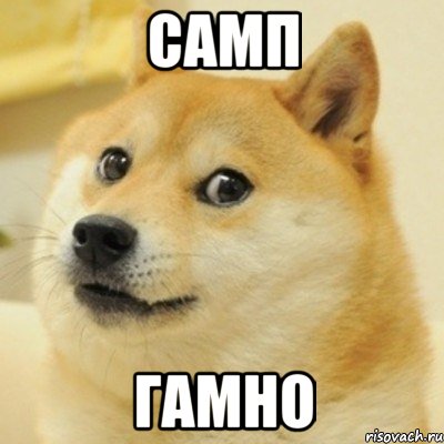 самп гамно, Мем doge woof