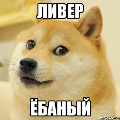 Ливер ёбаный, Мем doge woof