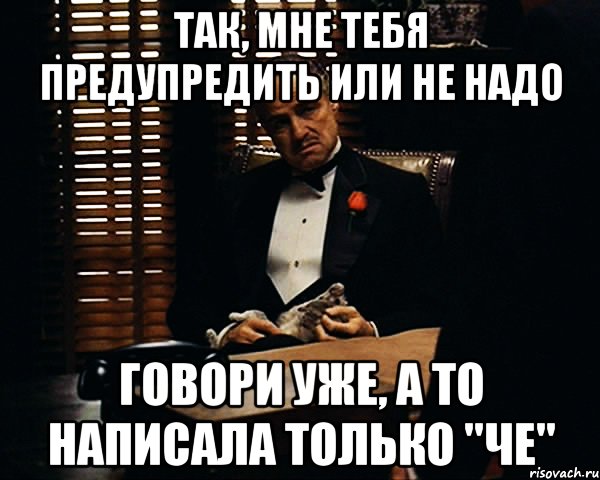 Так, мне тебя предупредить или не надо Говори уже, а то написала только "че", Мем Дон Вито Корлеоне