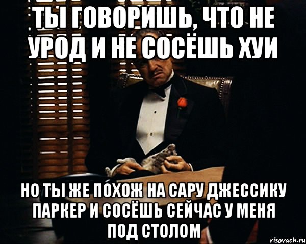 Ты говоришь, что не урод и не сосёшь хуи Но ты же похож на Сару Джессику Паркер и сосёшь сейчас у меня под столом, Мем Дон Вито Корлеоне