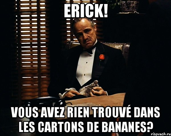 Erick! Vous avez rien trouvé dans les cartons de bananes?, Мем Дон Вито Корлеоне