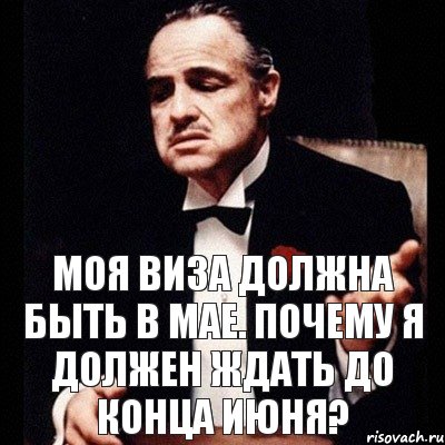 Моя виза должна быть в мае. Почему я должен ждать до конца июня?, Комикс Дон Вито Корлеоне 1