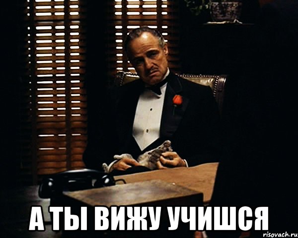  А ТЫ ВИЖУ УЧИШСЯ, Мем Дон Вито Корлеоне
