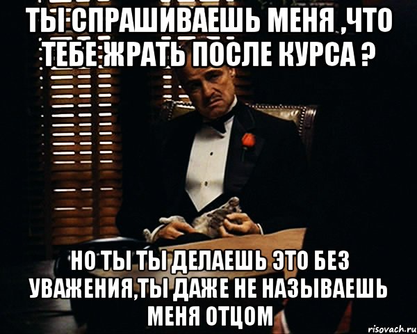 ты спрашиваешь меня ,что тебе жрать после курса ? но ты ты делаешь это без уважения,ты даже не называешь меня отцом, Мем Дон Вито Корлеоне