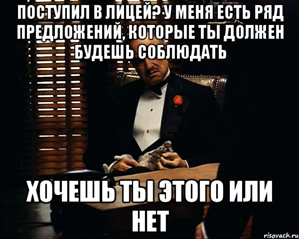 Поступил в лицей? У меня есть ряд предложений, которые ты должен будешь соблюдать Хочешь ты этого или нет, Мем Дон Вито Корлеоне