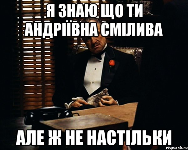 я знаю що ти Андріївна смілива Але ж не настільки, Мем Дон Вито Корлеоне