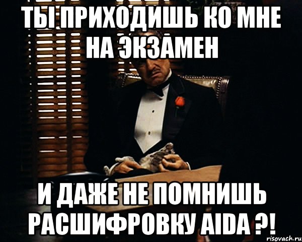 ты приходишь ко мне на экзамен и даже не помнишь расшифровку AIDA ?!, Мем Дон Вито Корлеоне